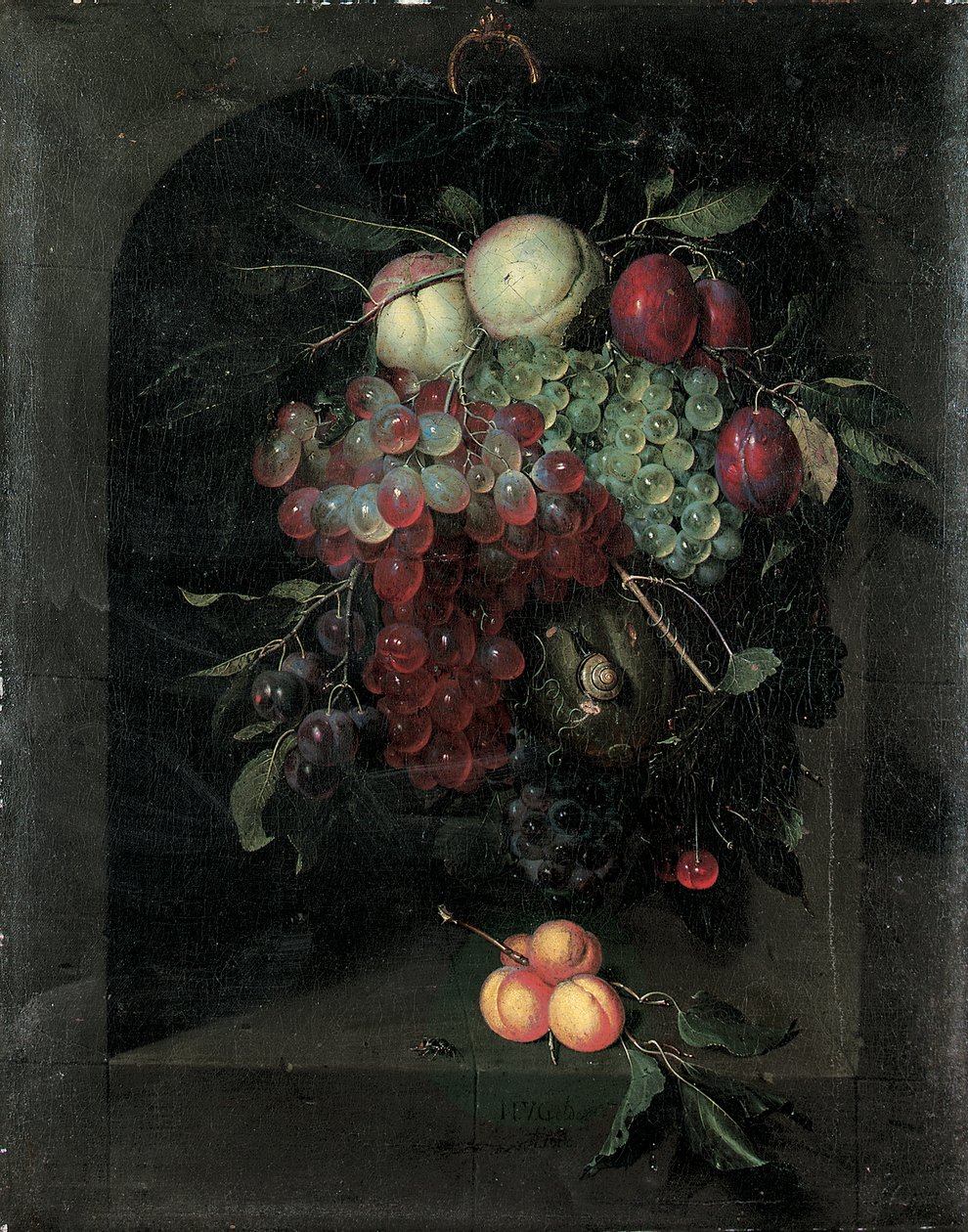 Swag av vindruvor, persikor, plommon och körsbär med en snigel i en stennisch med ett gäng aprikoser och bi på en avsats, 1666 av Nicolaes Van Gelder