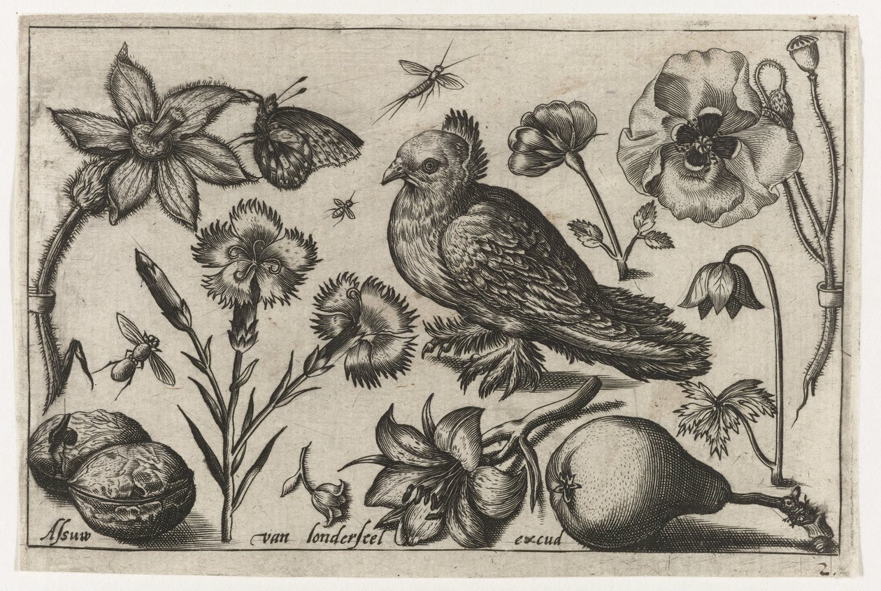 Blommor, ett päron och en duva Fåglar, blommor, insekter etc. (serietitel) av Nicolaes de Bruyn (possibly)