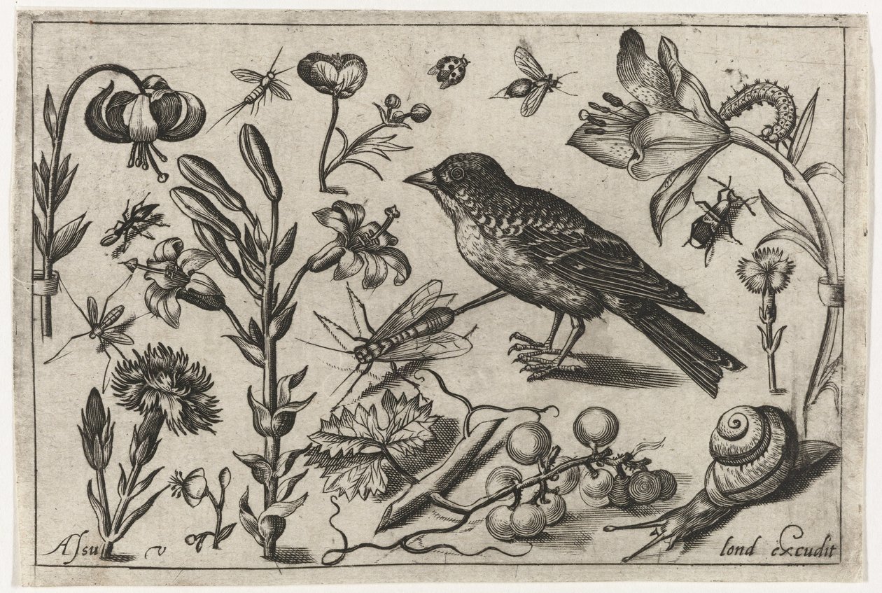 Blommor, en snigel och en fågel Fåglar, blommor, insekter etc. (serietitel) av Nicolaes de Bruyn (possibly)