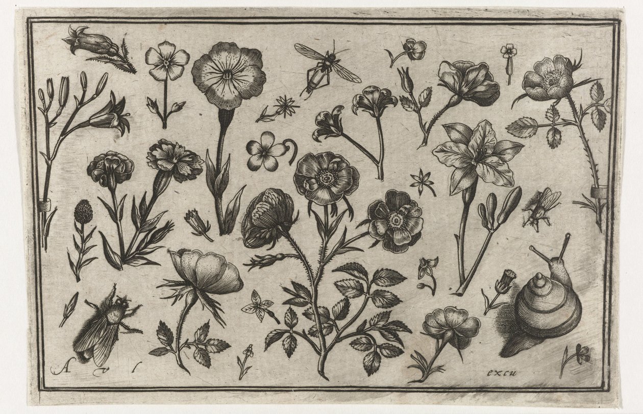 Blommor, en fluga och en snigel Fåglar, blommor, insekter etc. (serietitel) av Nicolaes de Bruyn (possibly)