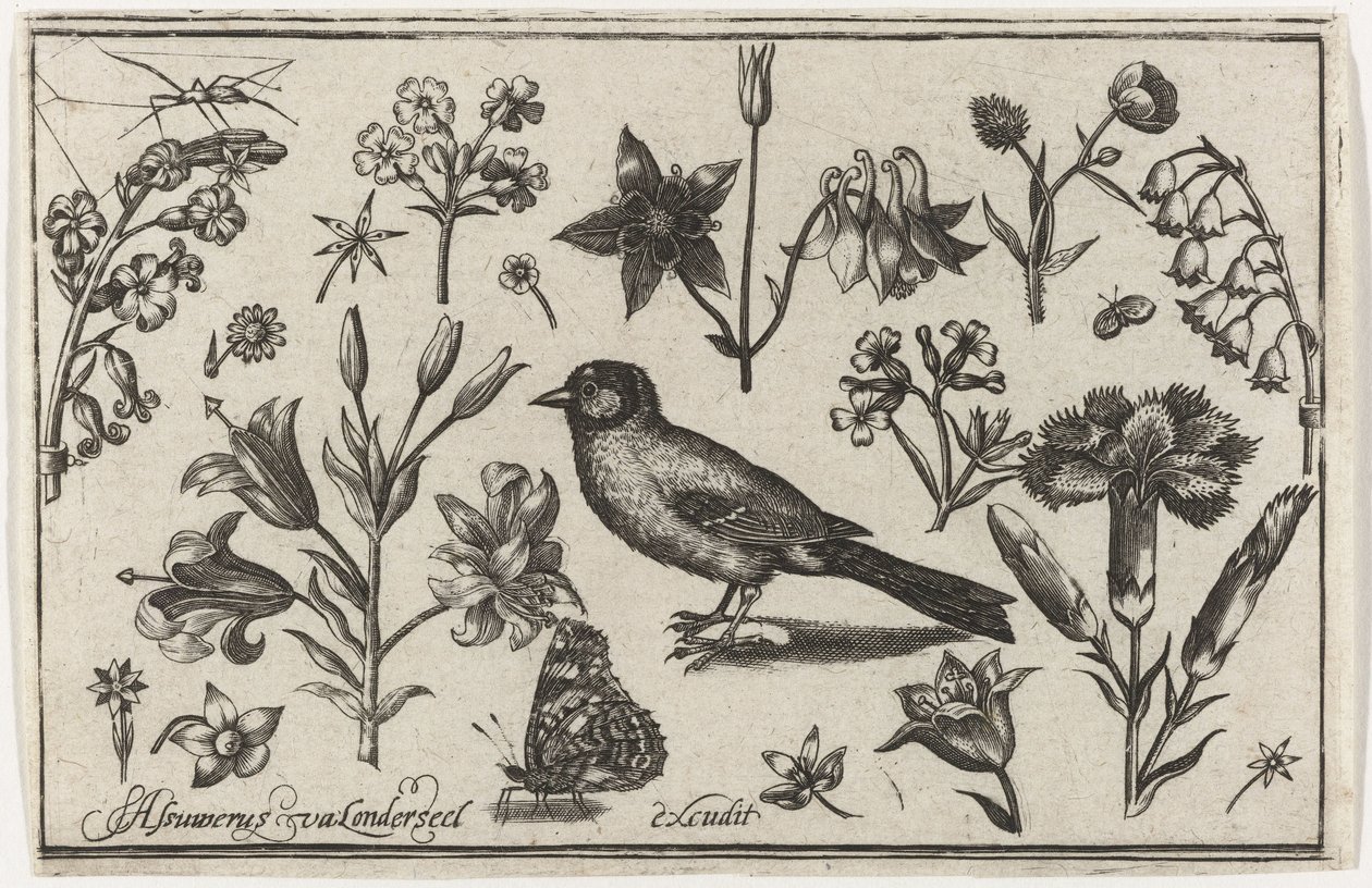 Blommor, fjäril och en fågel Fåglar, blommor, insekter etc. (serietitel) av Nicolaes de Bruyn (possibly)