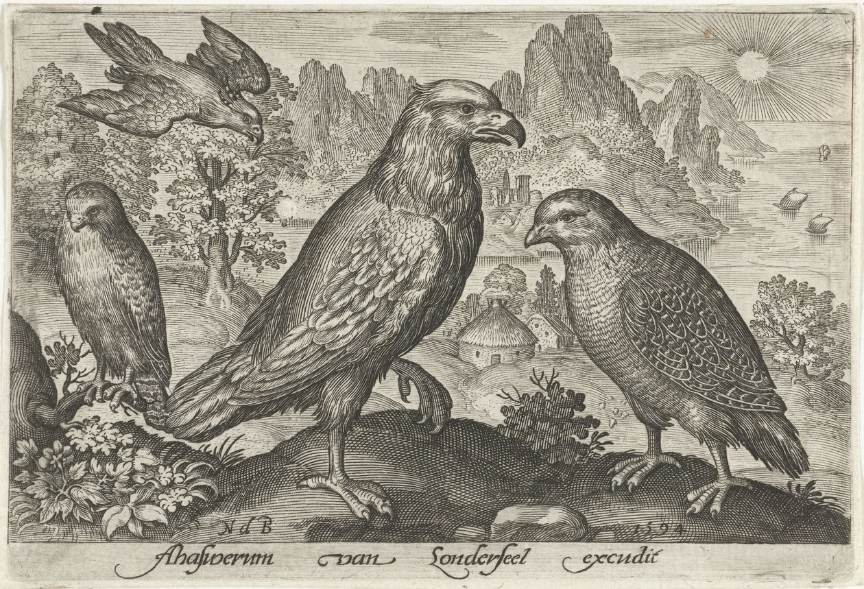 Örn och andra rovfåglar Fåglar och insekter (serietitel) av Nicolaes de Bruyn