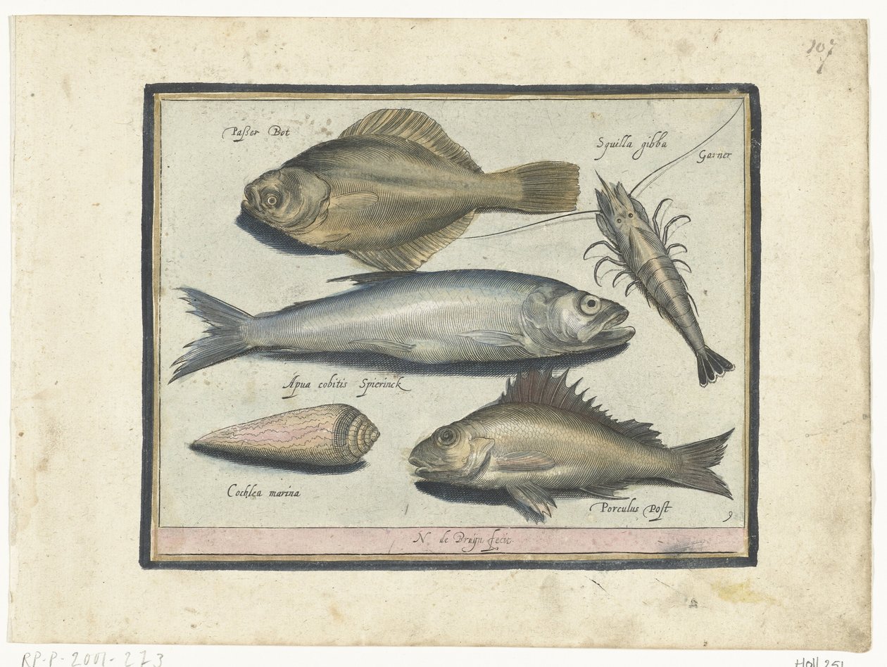 Flundra, räkor, smelt och pos Libelivs varia Genera piscium complectens (serietitel) Sötvattensfisk, havsfisk, grodor, kräftdjur och havsdjur (serietitel) av Nicolaes de Bruyn