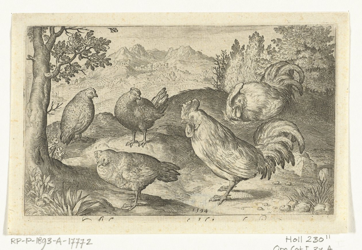 Tre höns och två tuppar Fåglar och insekter (serietitel) av Nicolaes de Bruyn