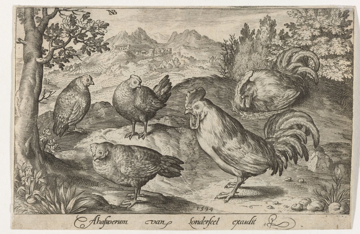 Tre höns och två tuppar Fåglar och insekter (serietitel) av Nicolaes de Bruyn