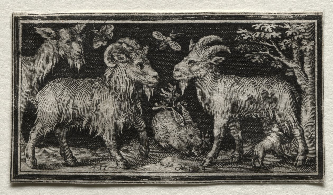 Getter och hare av Nicolaes de Bruyn