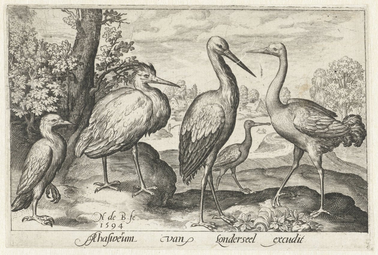 Stork, trana, häger och skedstork Fåglar och insekter (serietitel) av Nicolaes de Bruyn