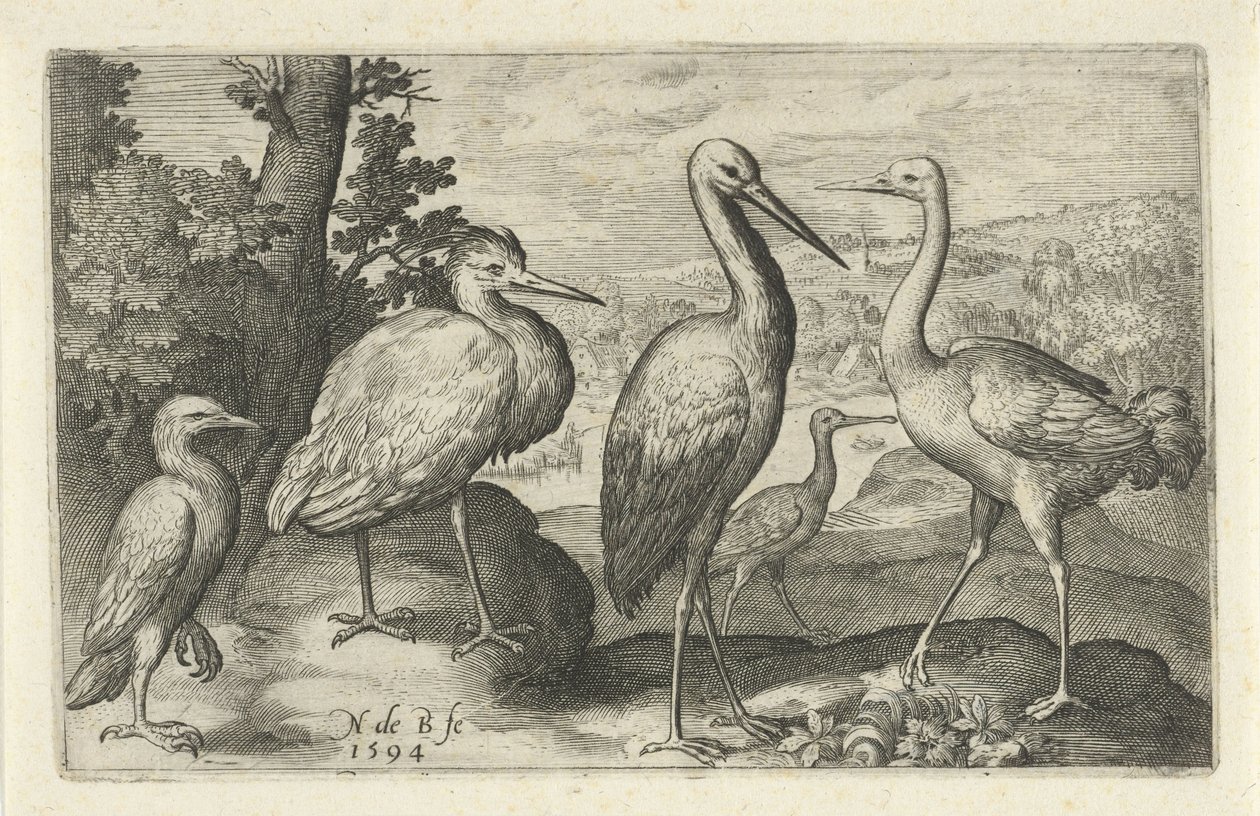 Stork, trana, häger och skedstork Fåglar och insekter (serietitel) av Nicolaes de Bruyn
