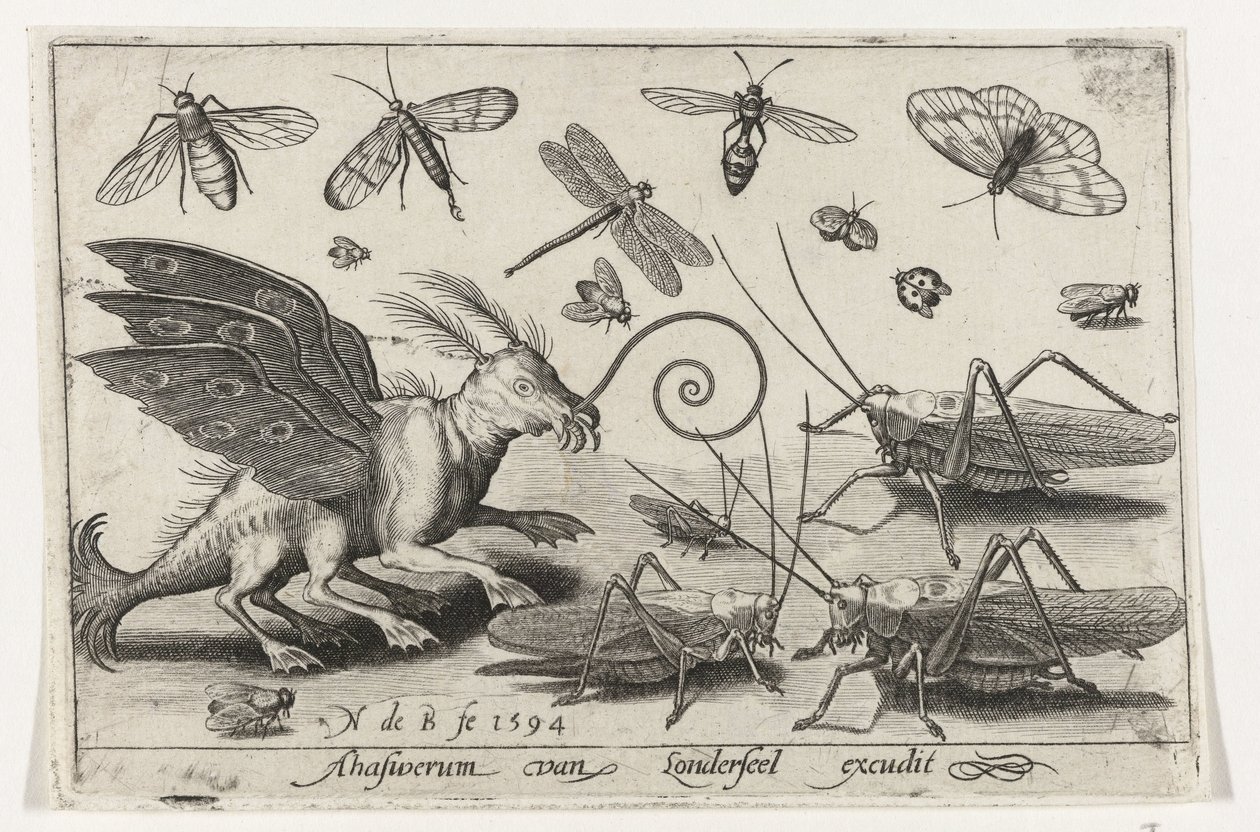Gräshoppor och fantasiväsen med vingar och simhudsfötter Fåglar och insekter (serietitel) av Nicolaes de Bruyn