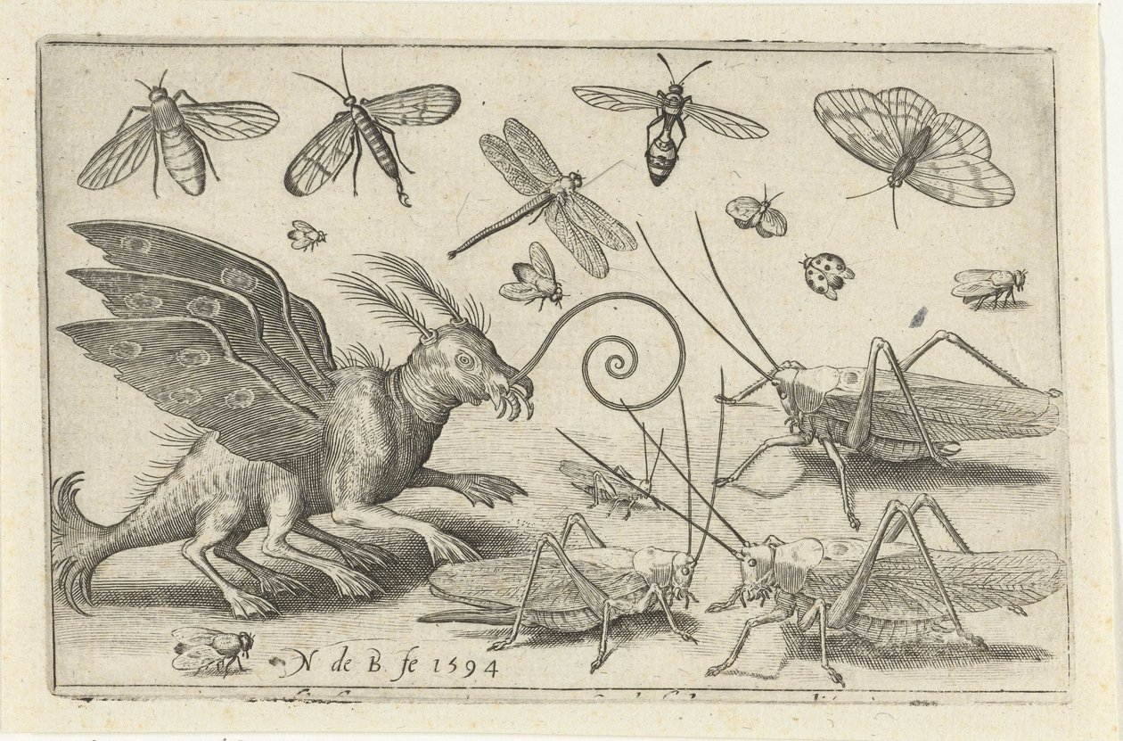 Gräshoppor och fantasiväsen med vingar och simhudsfötter Fåglar och insekter (serietitel) av Nicolaes de Bruyn