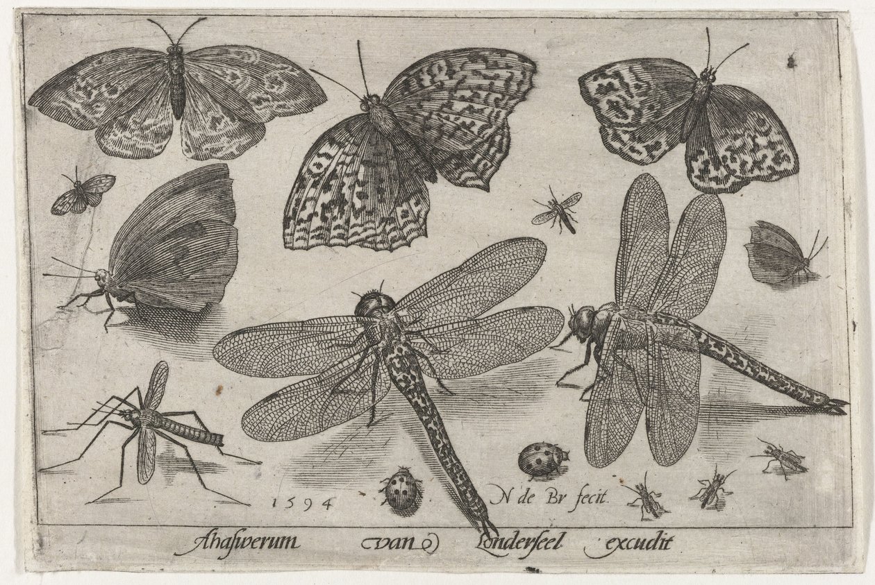 Fjärilar och trollsländor Fåglar och insekter (serietitel) av Nicolaes de Bruyn