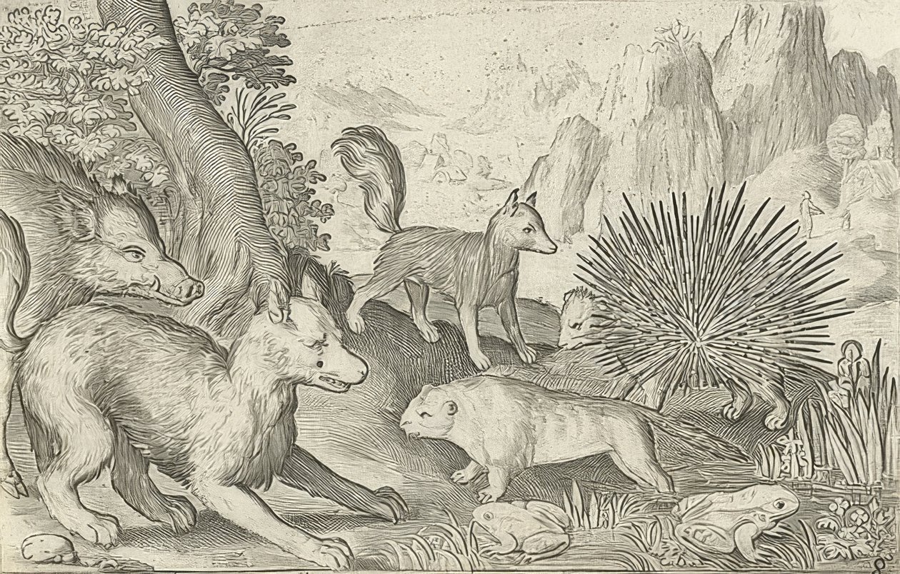 Vildsvin, rävar, bävrar, piggsvin och grodor. 1621 av Nicolaes de Bruyn