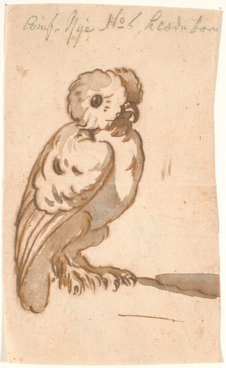 En uggla av Nicolai Abildgaard