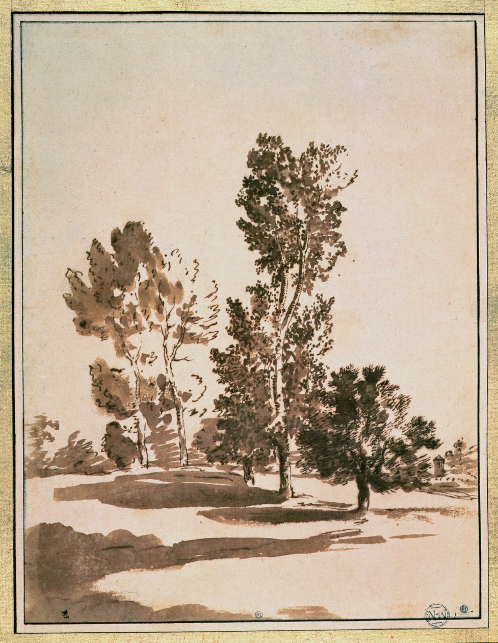 Trädstudie av Nicolas Poussin