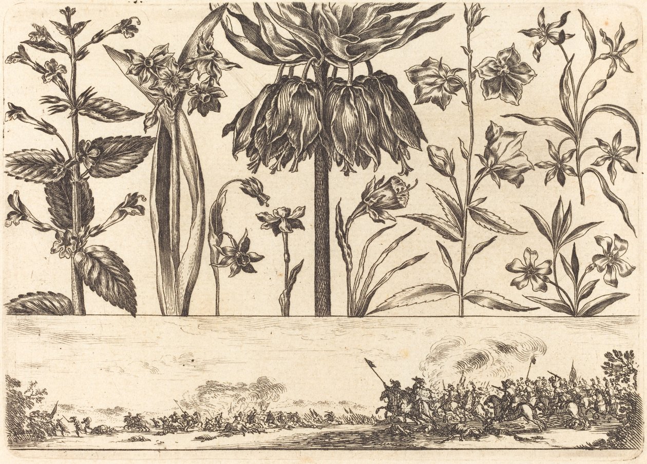 Blomstertryck nr.10 av Nicolas Cochin after Balthasar Moncornet