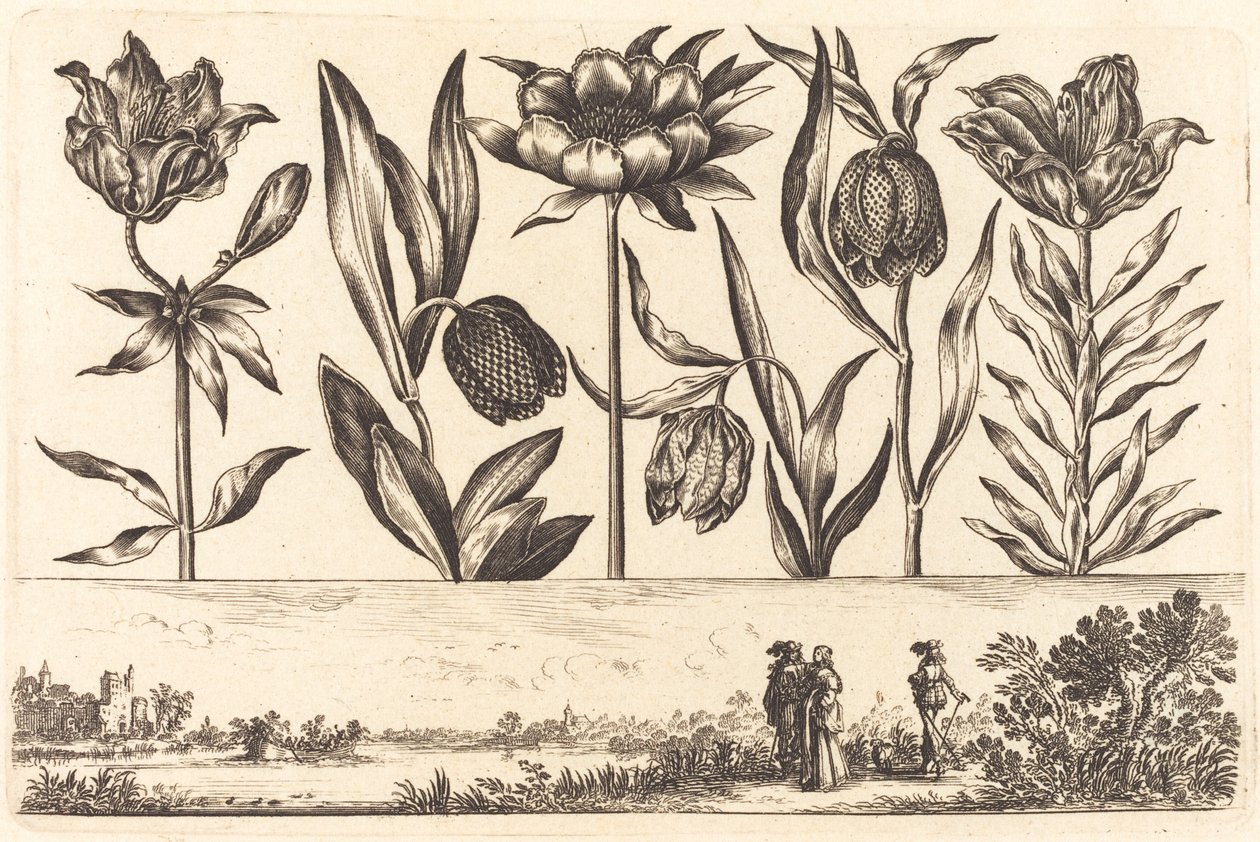 Blomstertryck nr.11 av Nicolas Cochin after Balthasar Moncornet