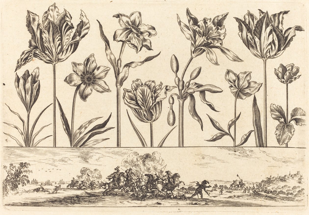 Blomstertryck nr.2 av Nicolas Cochin after Balthasar Moncornet