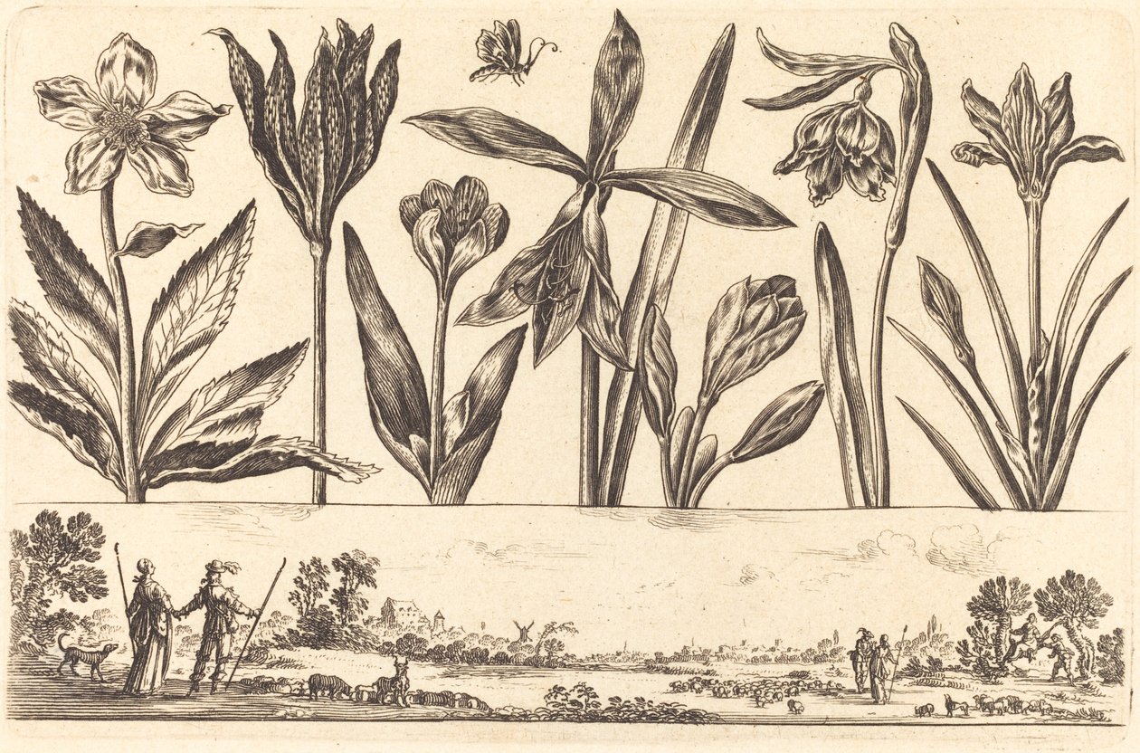 Blomstertryck nr.4 av Nicolas Cochin after Balthasar Moncornet