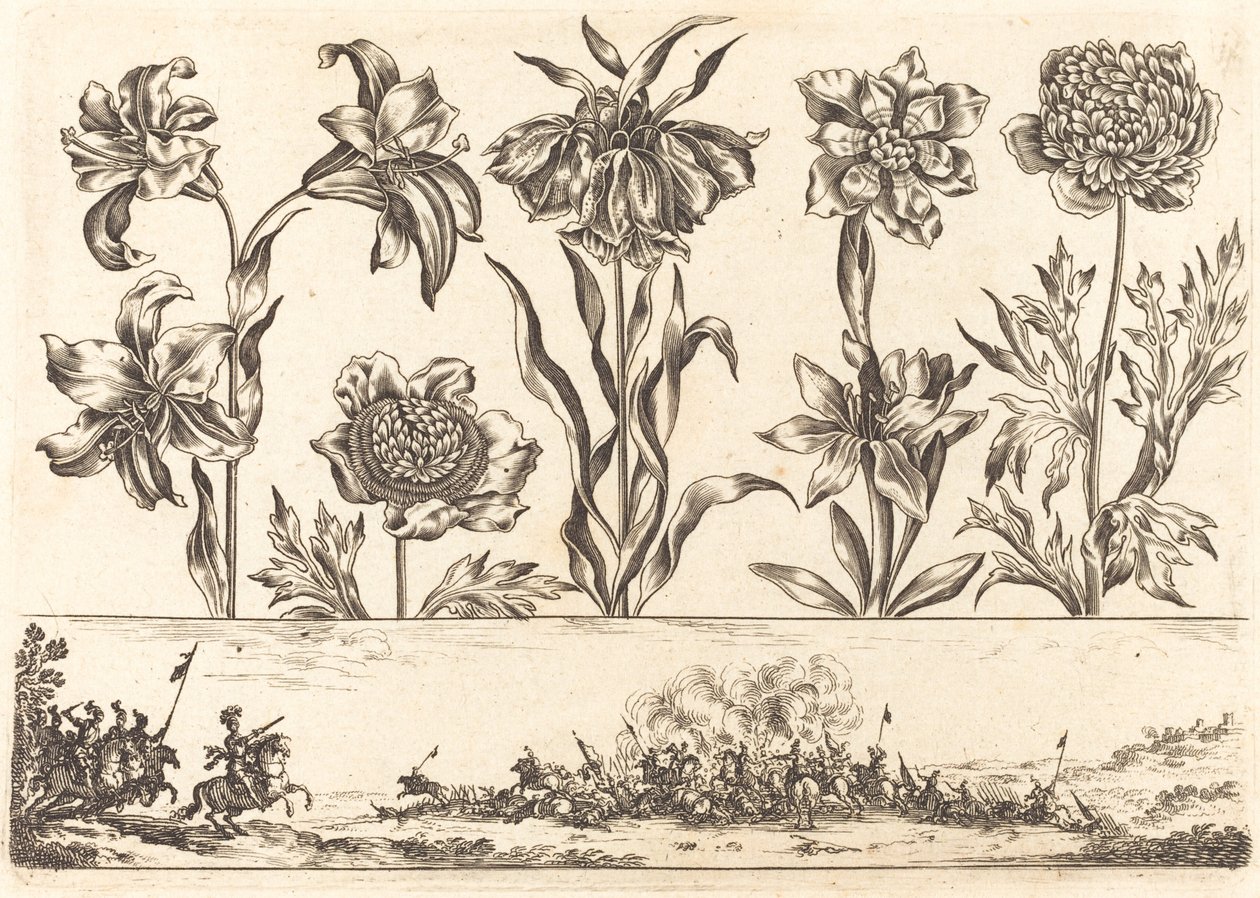 Blomstertryck nr.8 av Nicolas Cochin after Balthasar Moncornet