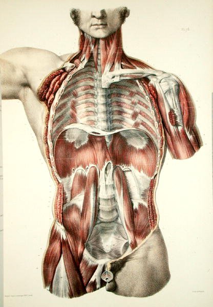 Flätad torso, tallrik från 