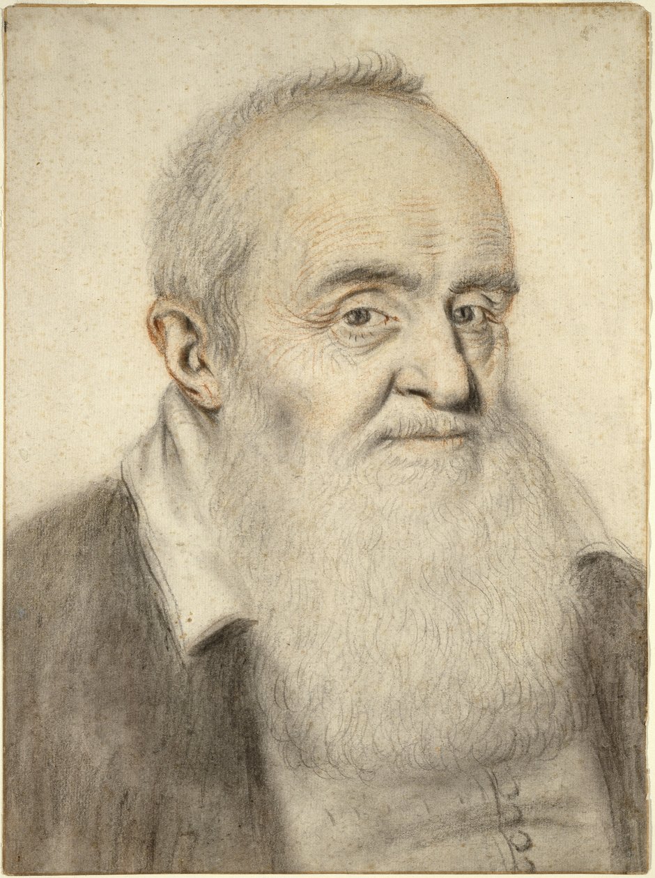 Head of a Bearded Man (färgade kritor på papper) av Nicolas Lagneau or Lanneau