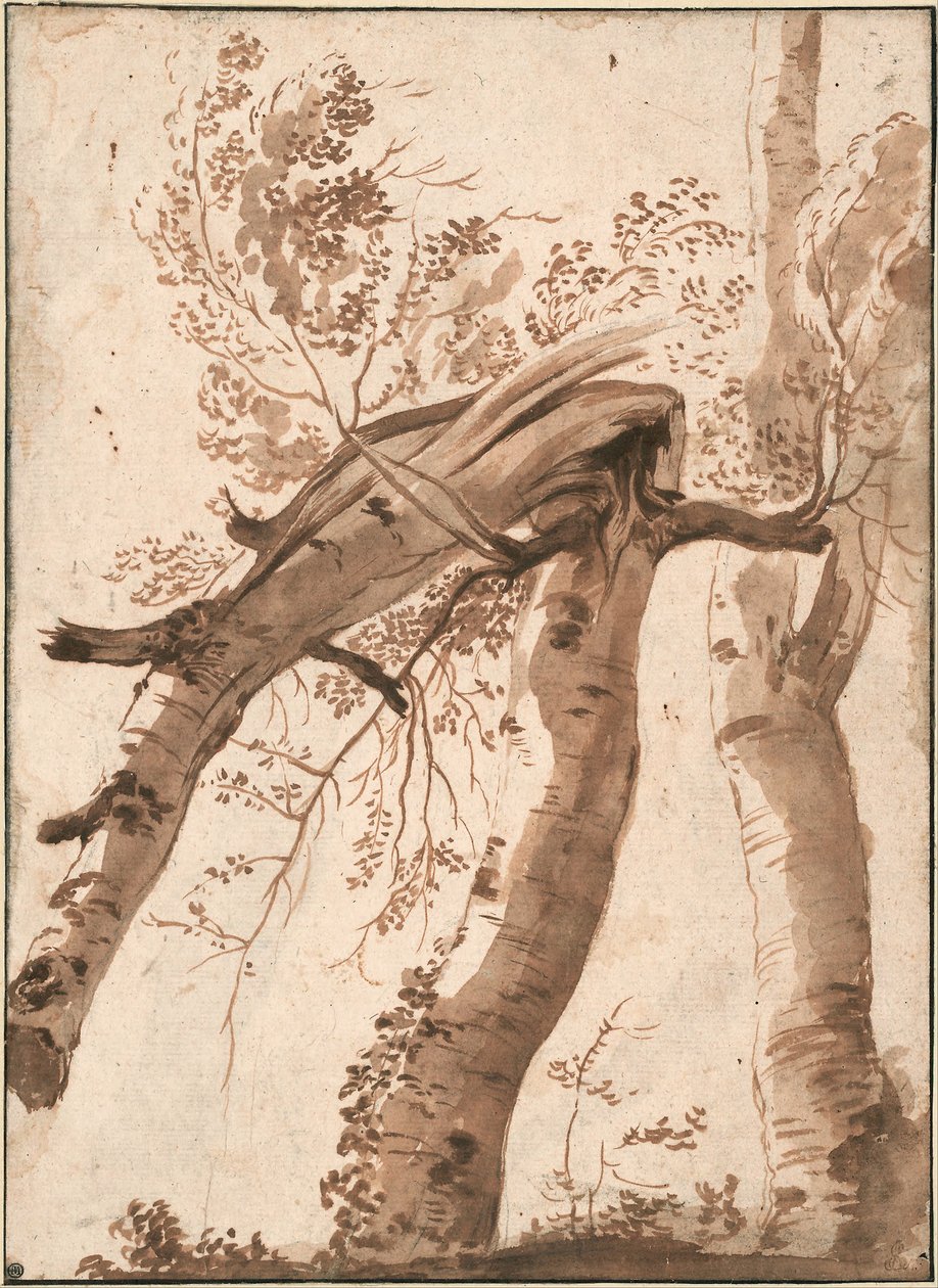 Två silverbjörkar, den främre fallen, ca. 1629 av Nicolas Poussin