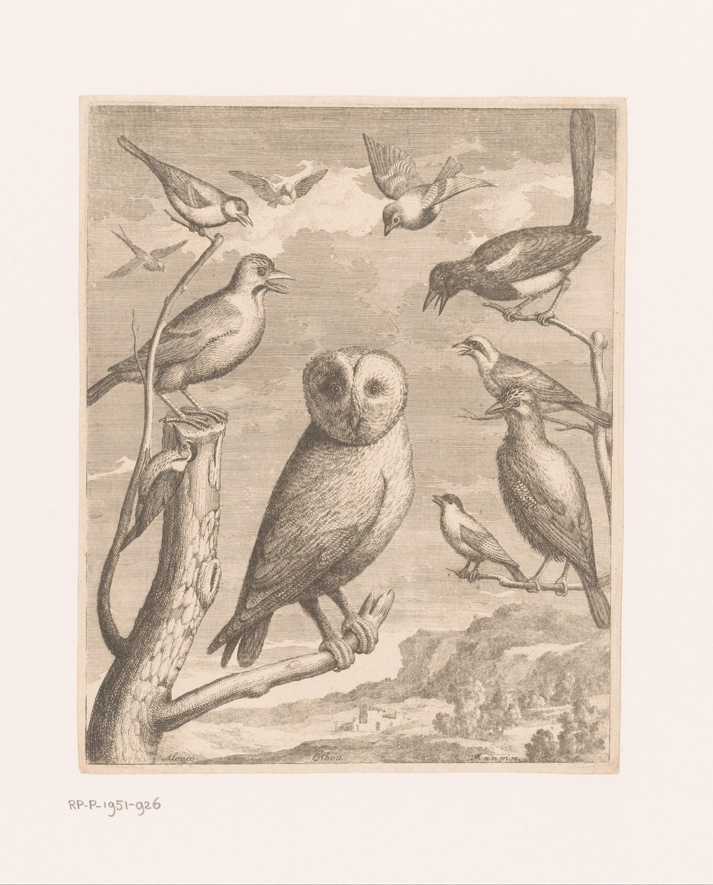 Uggla och andra fåglar Alouco Hibou (titel på objekt) Fåglar från Versailles Zoo (serietitel) av Nicolas Robert (possibly)