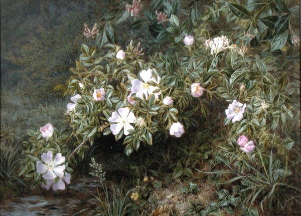 En studie av hundrosor, ca 1900 (olja på duk) av Niels Pieter Rasmussen