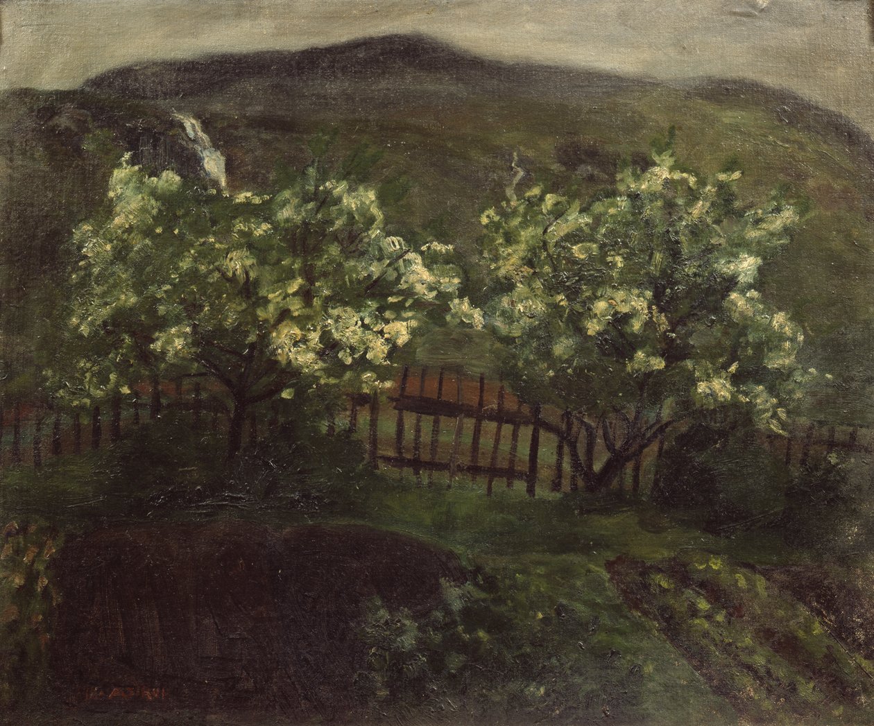Vårregn och körsbär av Nikolai Astrup