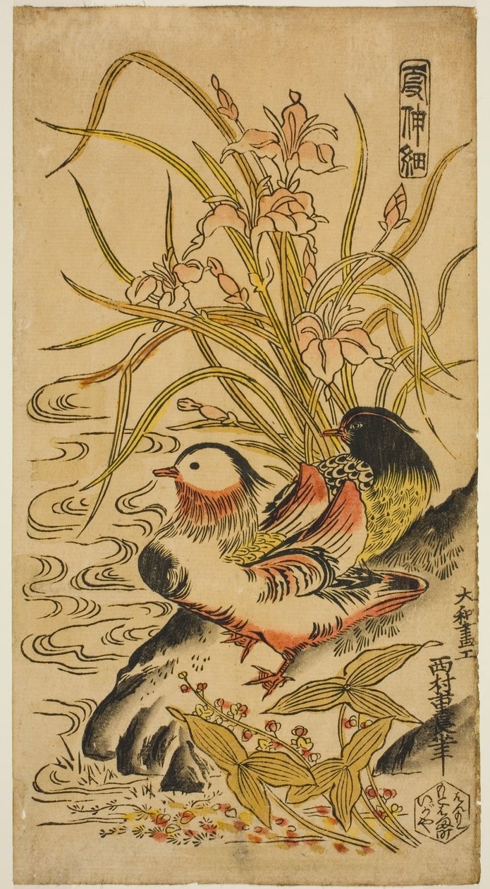 Mandarin Ducks, från serien "Kashinsai" av Nishimura Shigenaga