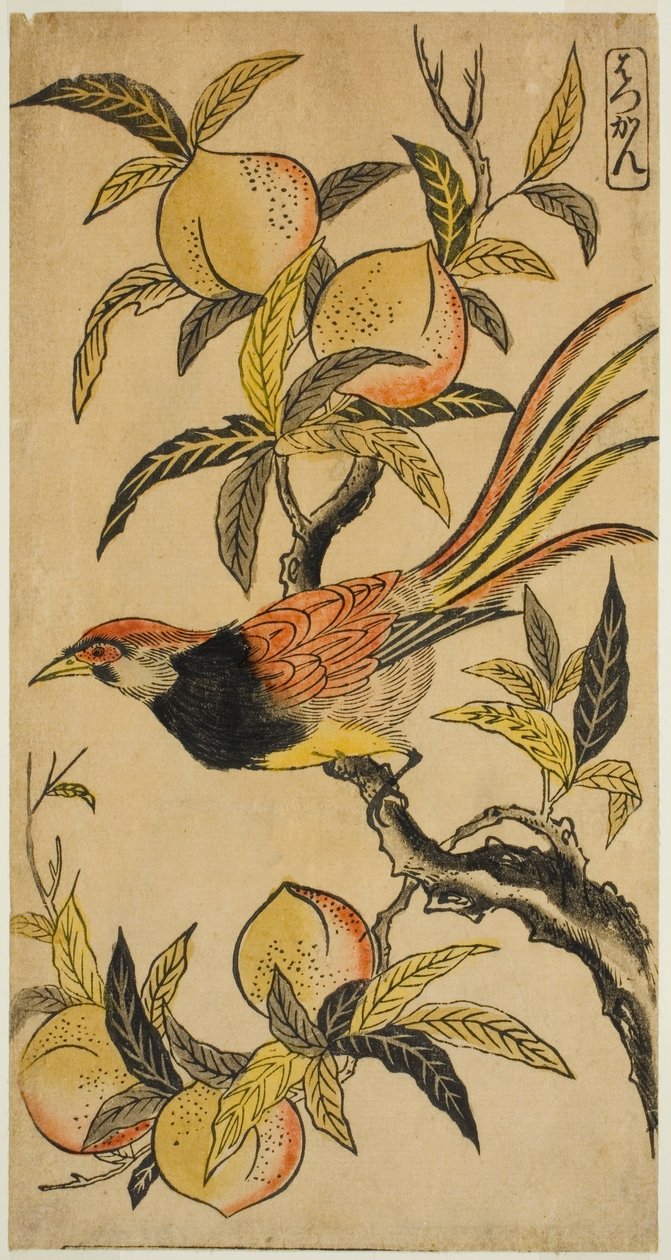 Silverfasan (Hakkan) av Nishimura Shigenaga