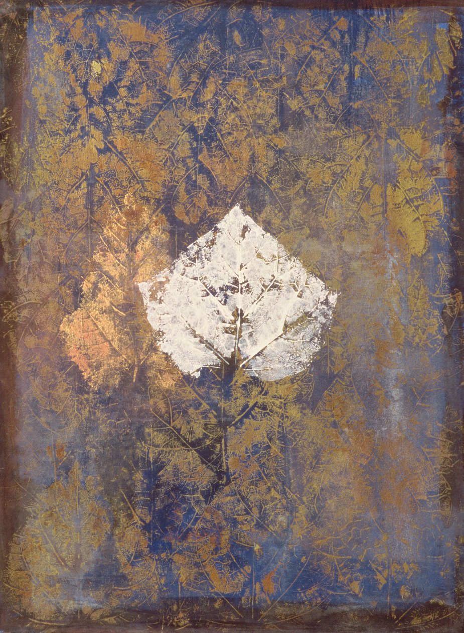 Borromeo av Nissan Engel