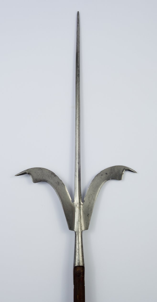 Friuli Spear, c.1600 (stål och restaurerat trä) av Northern Italian School