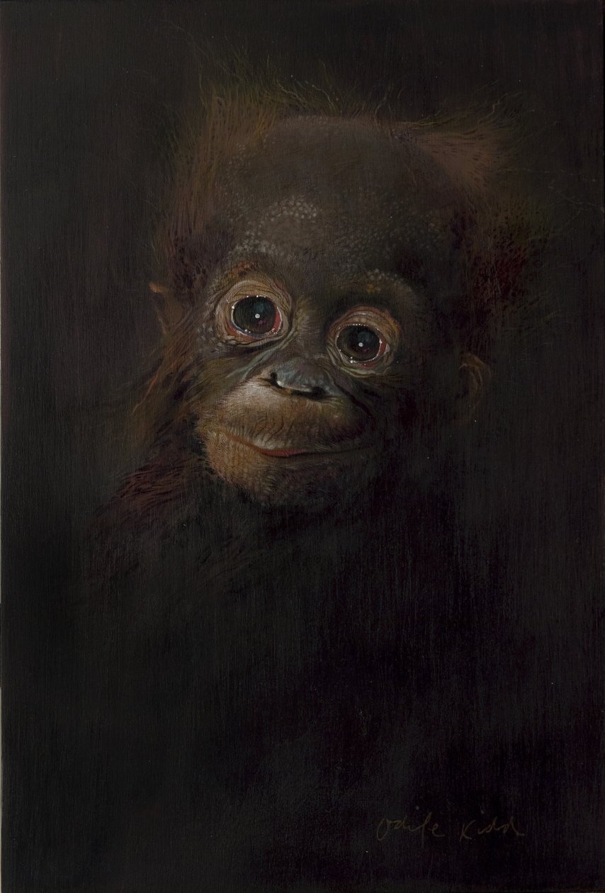 Baby orangutang 1, 2009 (akryl på trä) av Odile Kidd