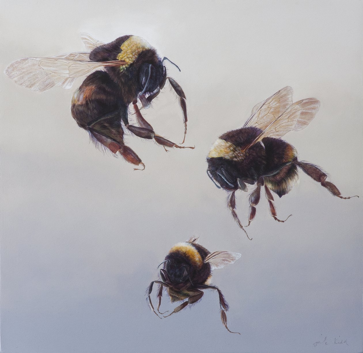 Bombus flight 1, 2011 (akryl på trä) av Odile Kidd