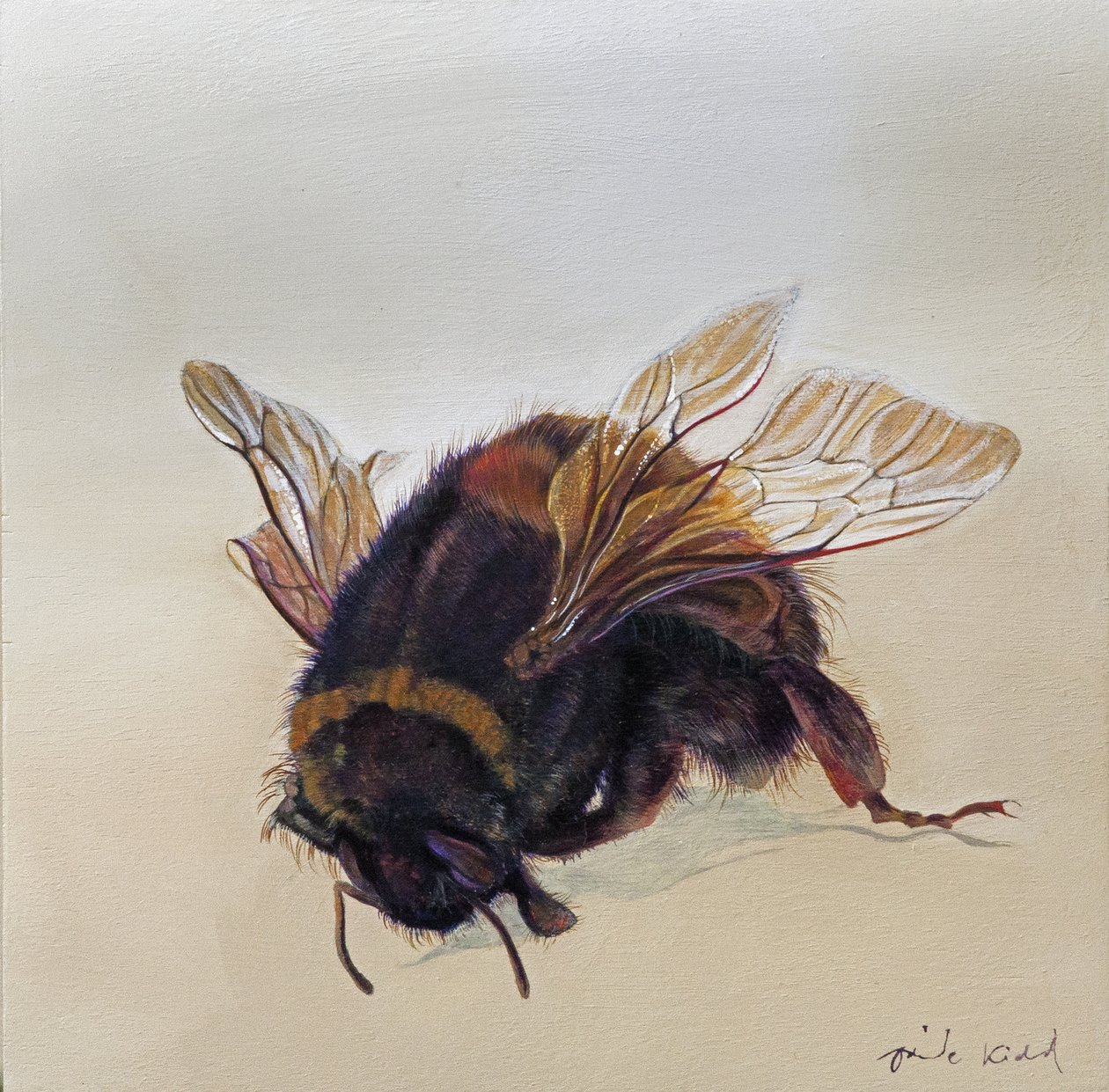 Bombus terrestris 10, 2013 (akryl på trä) av Odile Kidd