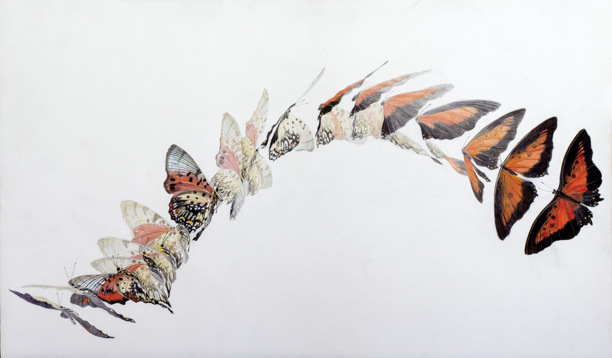 Charaxes zingha flygmönster, 2016 (akryl på gipsat trä) av Odile Kidd