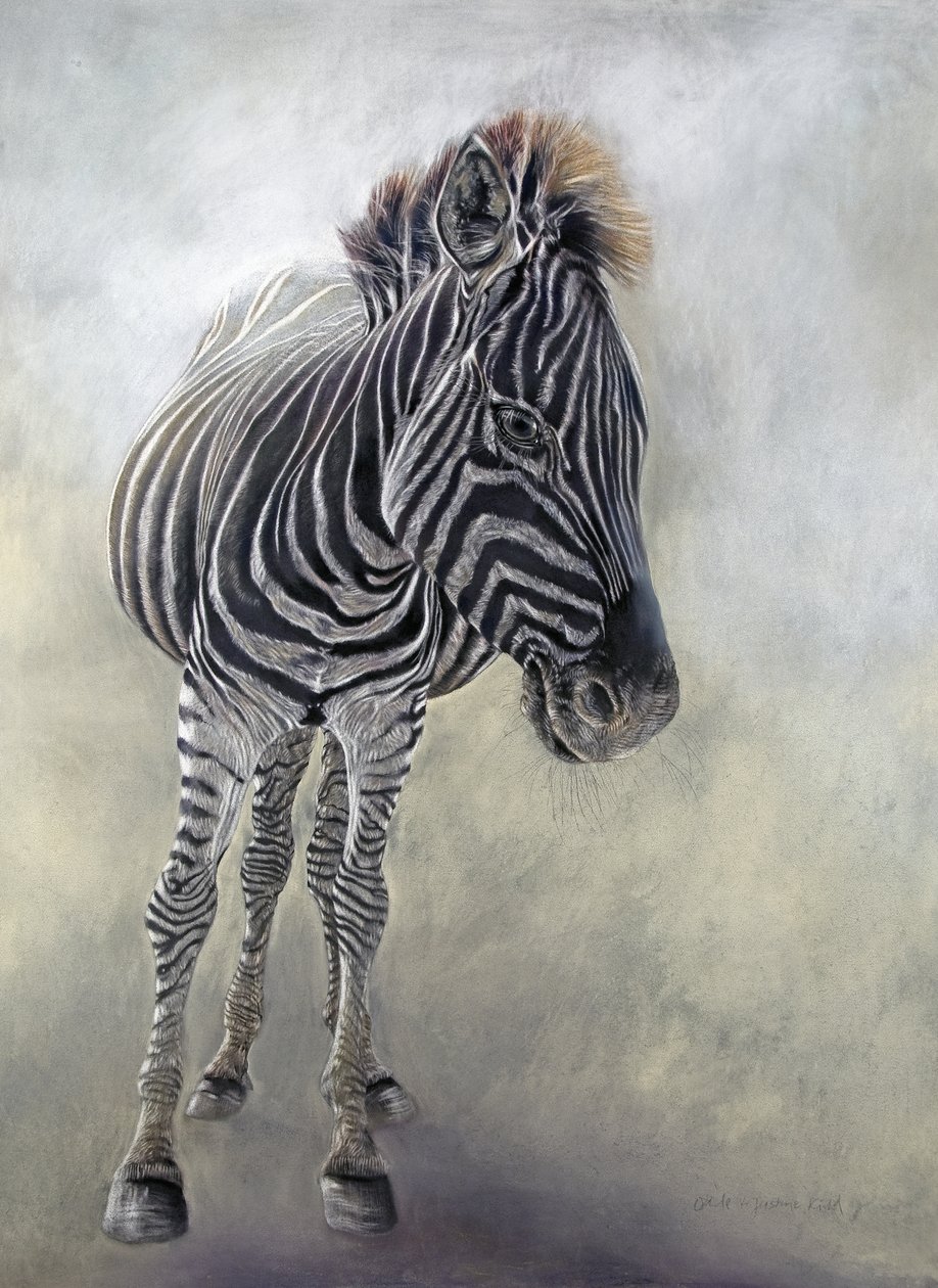 Equus burchelli 1, 2009 (kol, conte  kritpastell på Bockingford-papper) av Odile Kidd