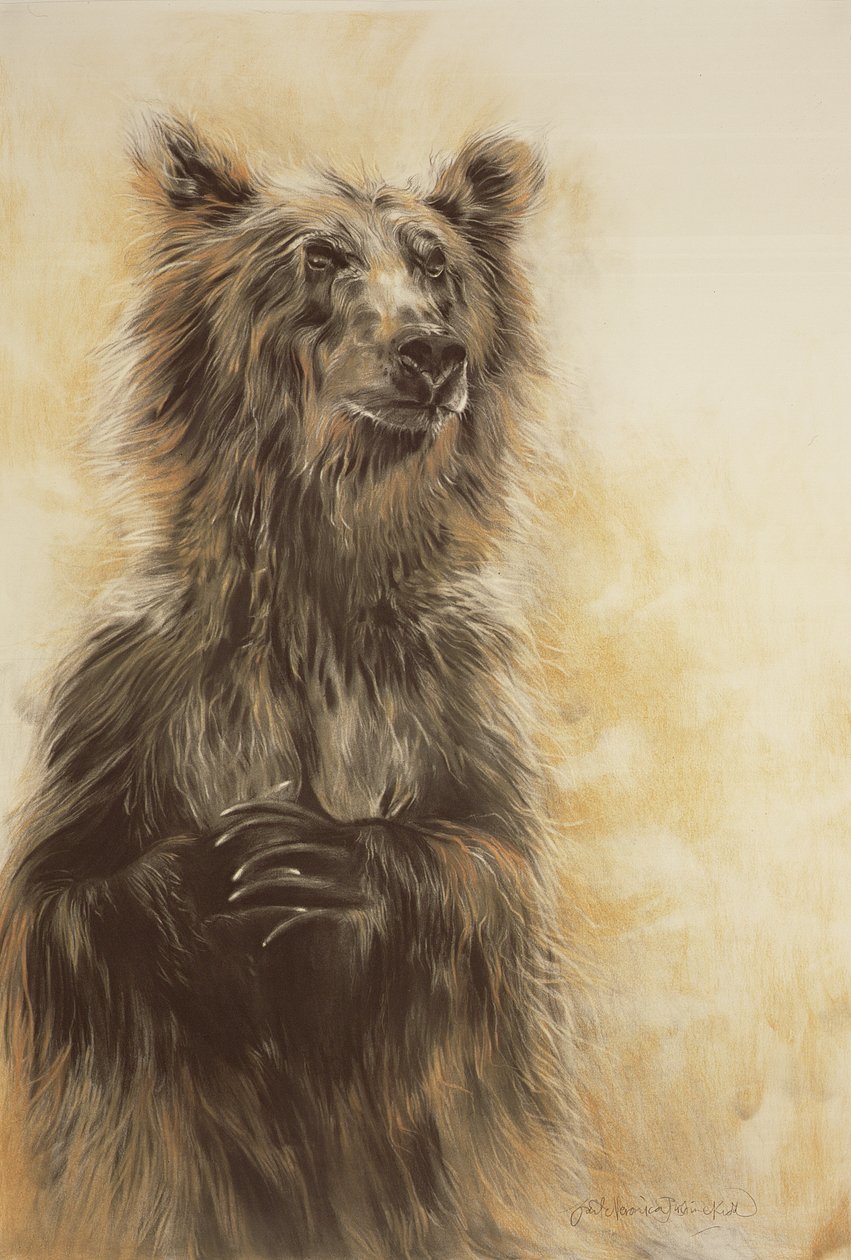 Grizzly Bear 1, 2002 (kolpenna, kol  krita) av Odile Kidd