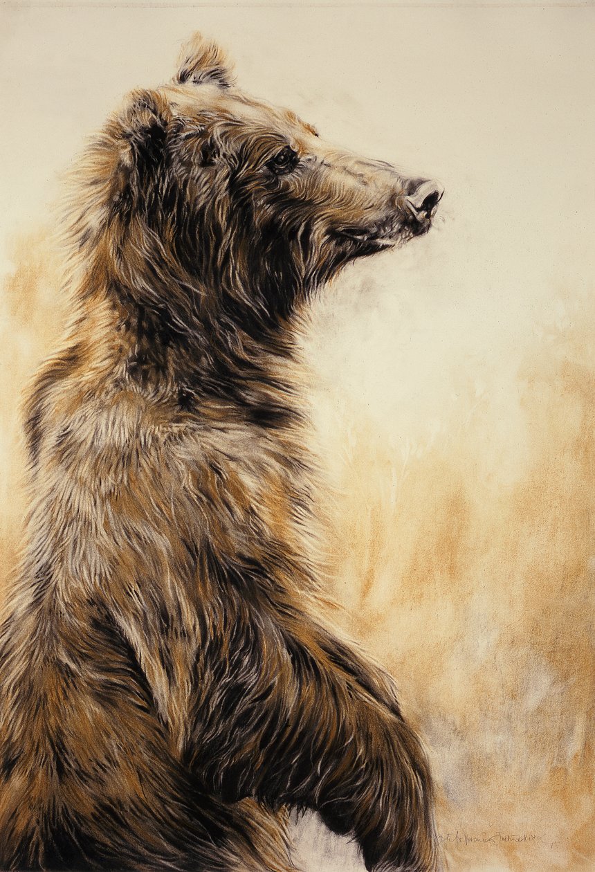 Grizzly Bear 2, 2002 (kolpenna, kol  krita) av Odile Kidd