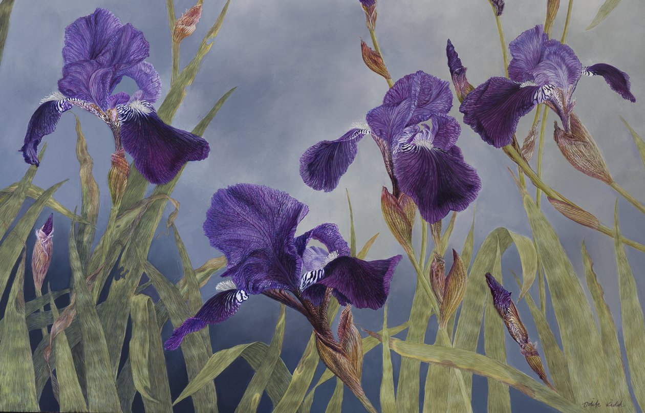 Iris hybrida (detalj), 2015 (akryl på gessoat trä) av Odile Kidd