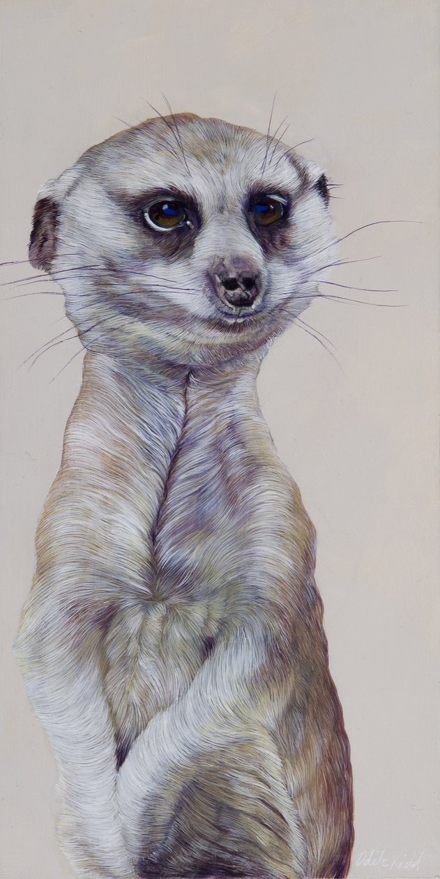 Meerkat 1, 2009 (akryl på trä) av Odile Kidd