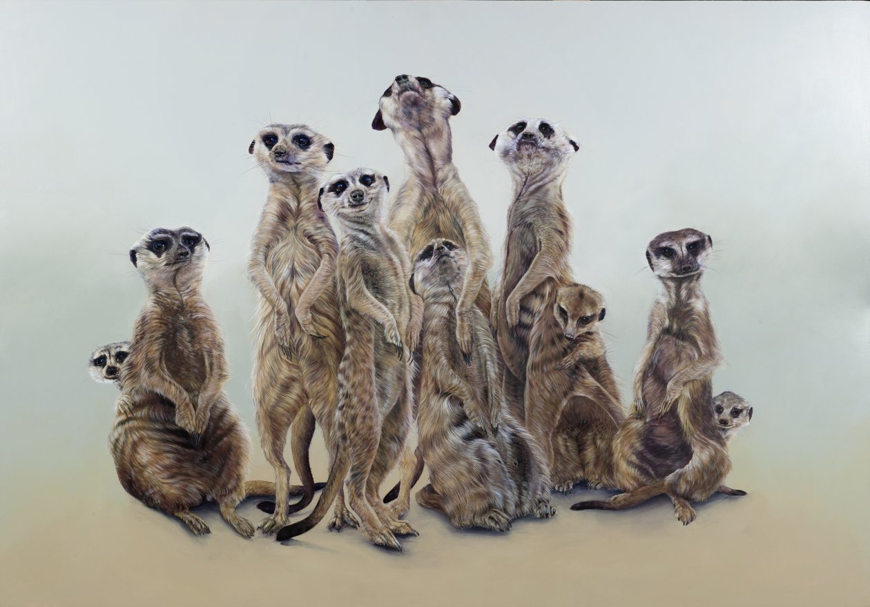 Meerkat mob, sun angels, 2013 (akryl på gessoat trä) av Odile Kidd