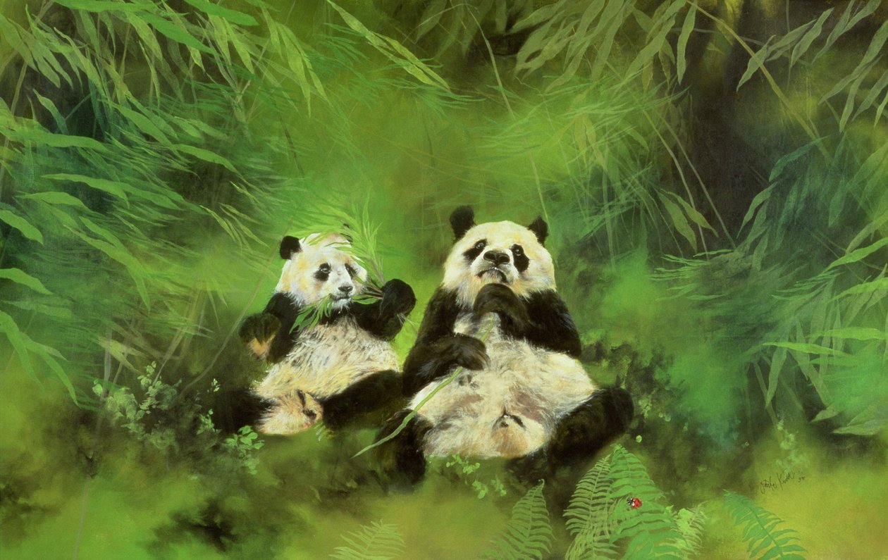 Pandor av Odile Kidd