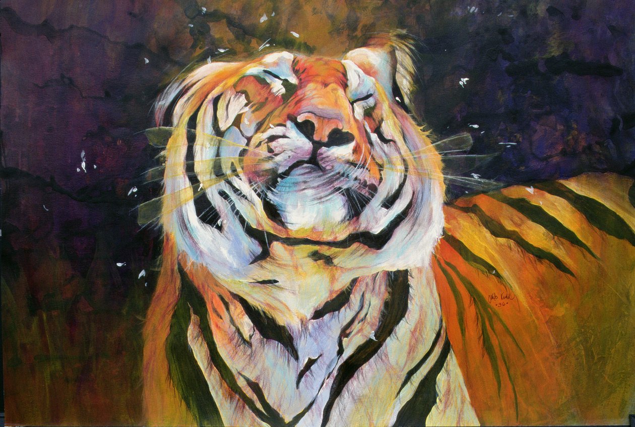 Tiger (skakande huvud) 1996 (bläck, akryl och blyerts på papper) av Odile Kidd