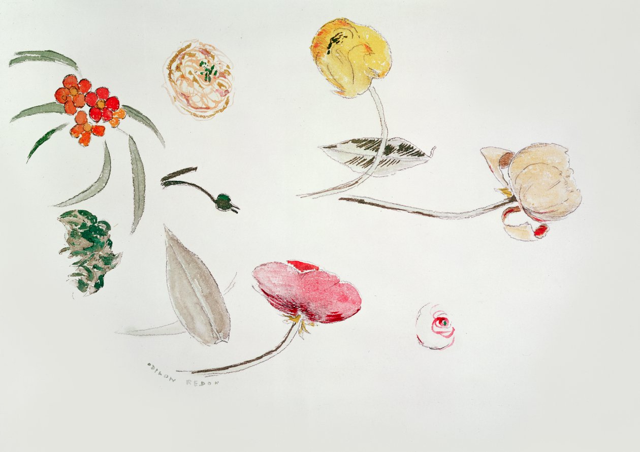 Blomsterstudie av Odilon Redon