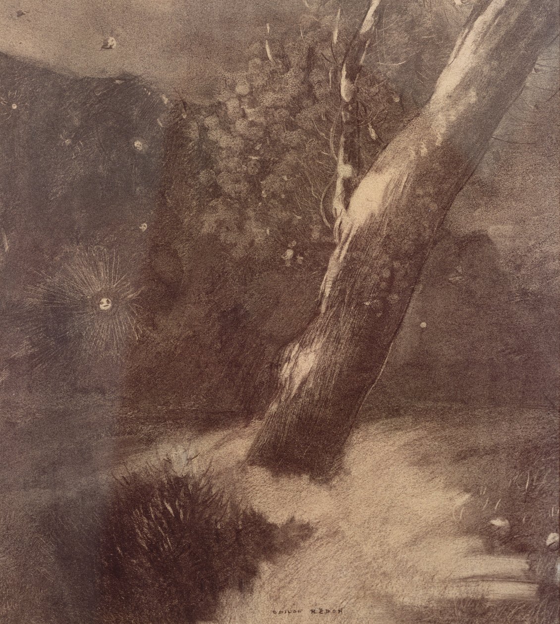 Träd och stjärnor (träkol) av Odilon Redon