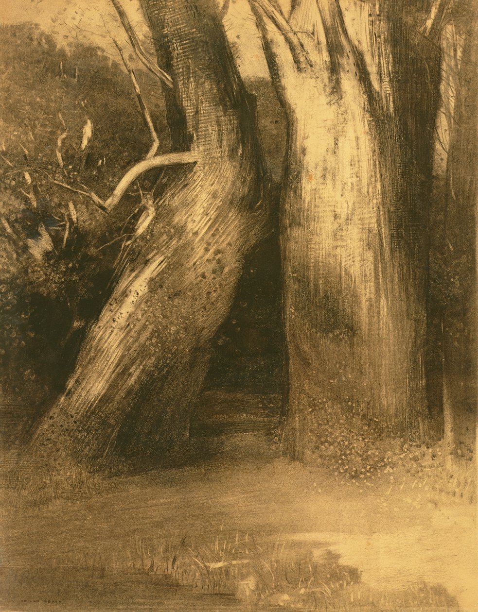 Två träd, ca 1875 (träkol på papper) av Odilon Redon