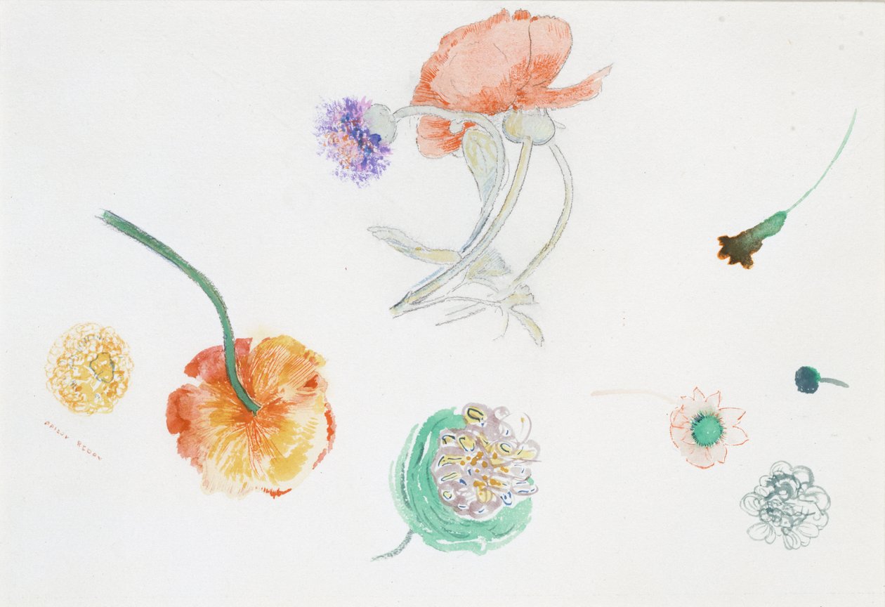 Blomsterskiss av Odilon Redon