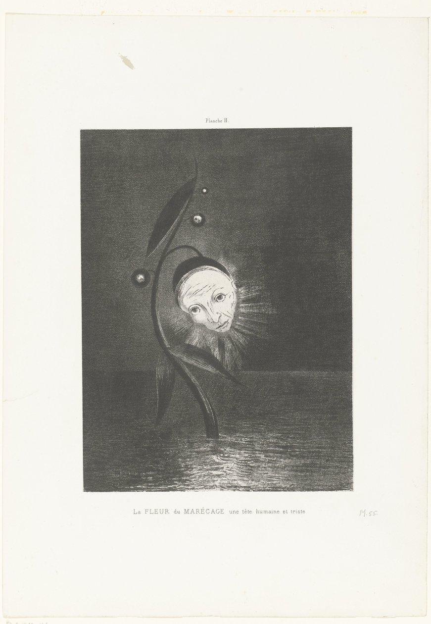 Träskblomman, ett mänskligt och sorgset huvud La FLEUR du MARÉCAGE une tête humaine et triste (titel på objekt) av Odilon Redon
